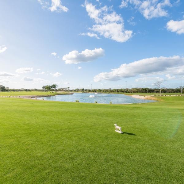 Venta terreno Provincia frente al campo de golf