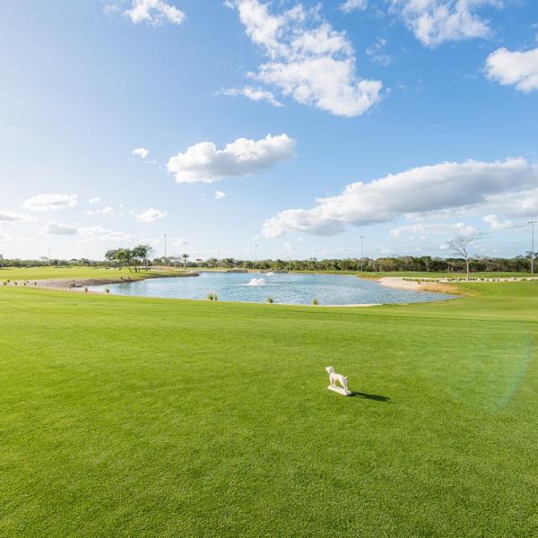 Venta terreno Provincia frente al campo de golf