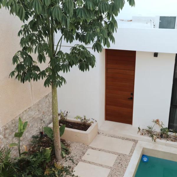 VENTA CASA REMODELADA CENTRO AREA CONCURRIDA